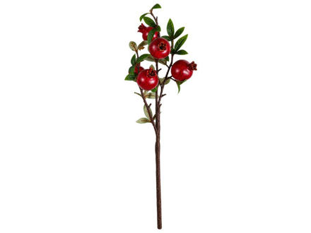Slika Grana šipka 67 cm; 5 plodova;tamno crvena