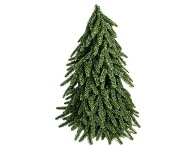 Slika Bor dekorativni h33cm; zelena
