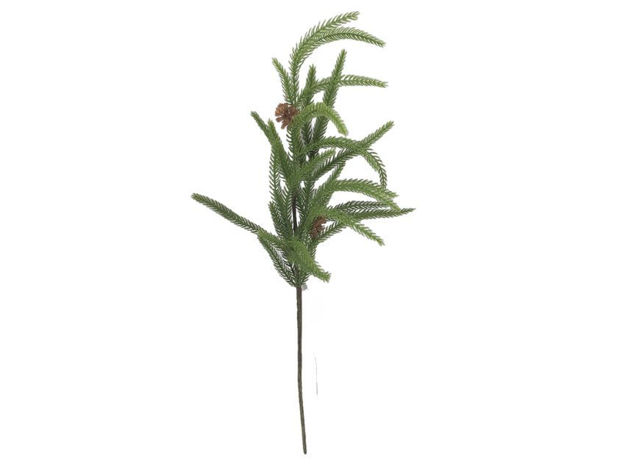 Slika Grana bora s šIškama 63cm; zelena