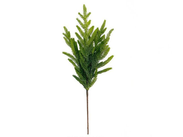 Slika Grana bora 45cm; zelena