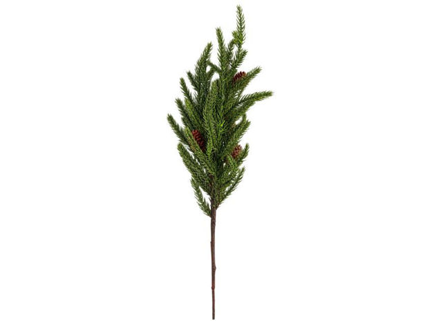 Slika Grana bora s šIškama 50cm; zelena