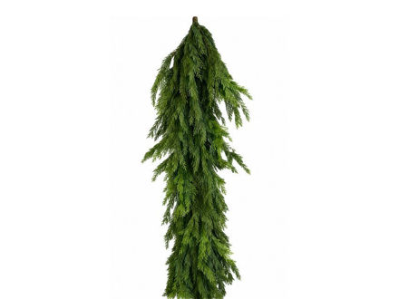 Slika Girlanda norfolk 270cm.