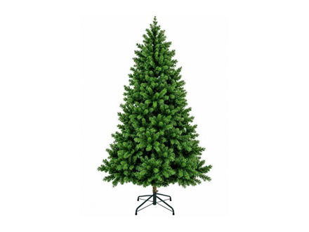 Slika Bor 240cm. Kenmore; PE; d132cm; 1459 grančice