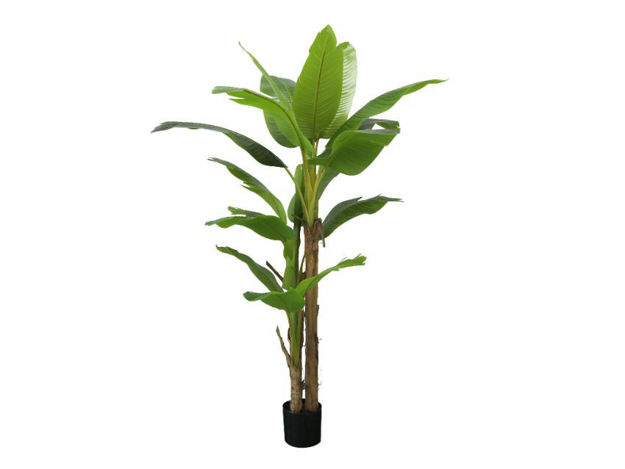 Slika Umjetno drvo banana 200 cm; 20 listova