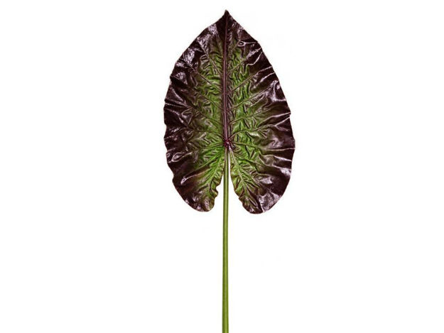 Slika Grana alokacija 76 cm; tamno zelena