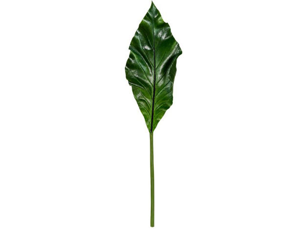 Slika Grana anturium 91 cm; zelena