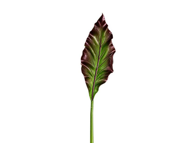 Slika Grana anturium 91 cm; tamno zelena