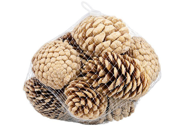 Slika ŠIške u mrežici; 5-7cm; s/10kom; šampanj