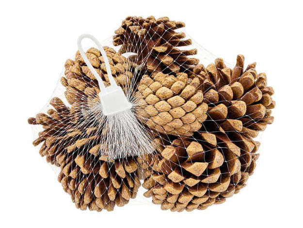 Slika ŠIške u mrežici; 5-7cm; s/10kom; zlatna